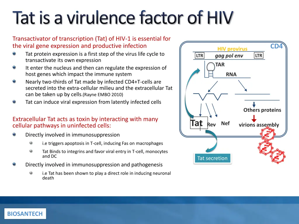 tat is a virulence factor of hiv