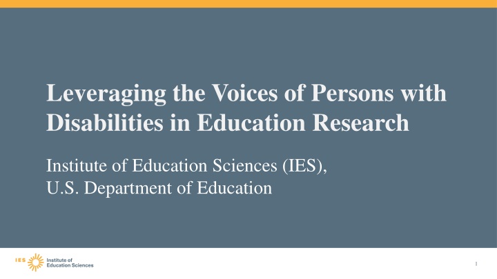 leveraging the voices of persons with