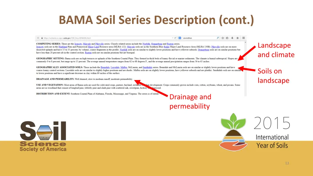 bama soil series description cont 2