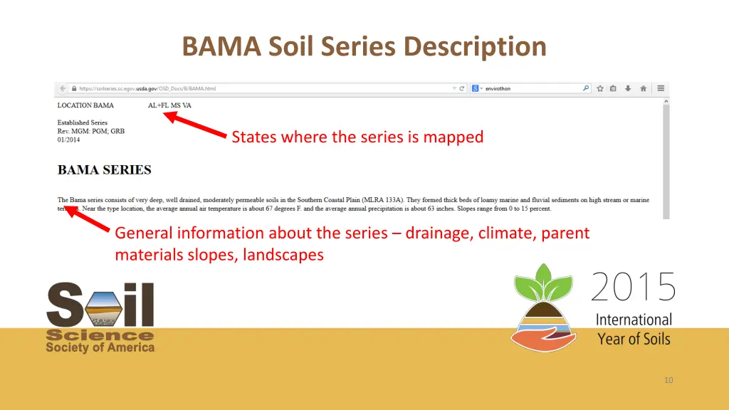 bama soil series description