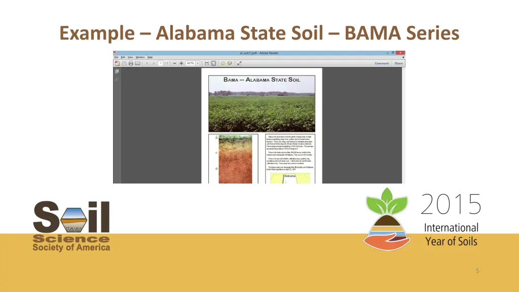 example alabama state soil bama series