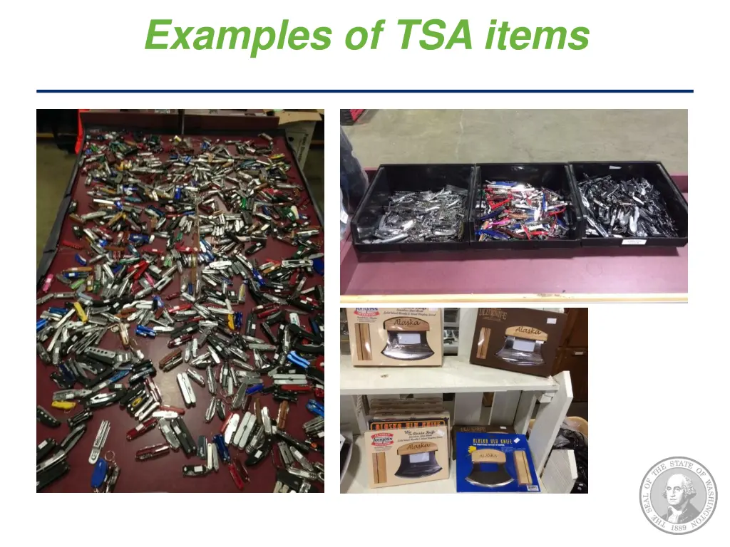 examples of tsa items