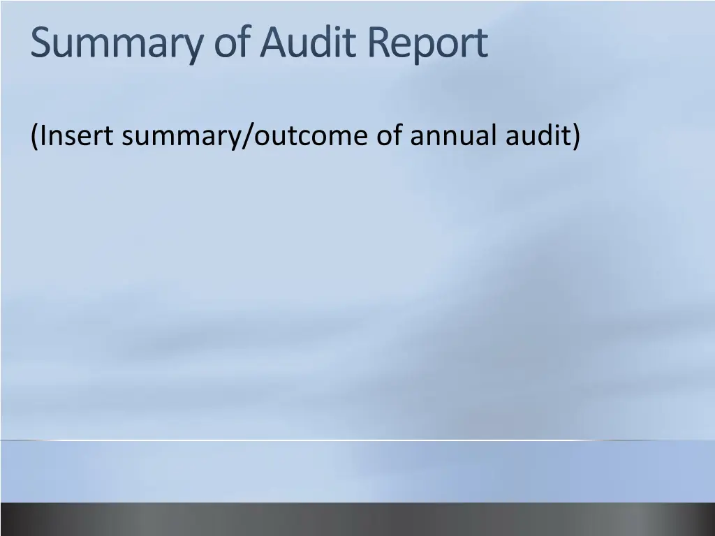 summary of audit report