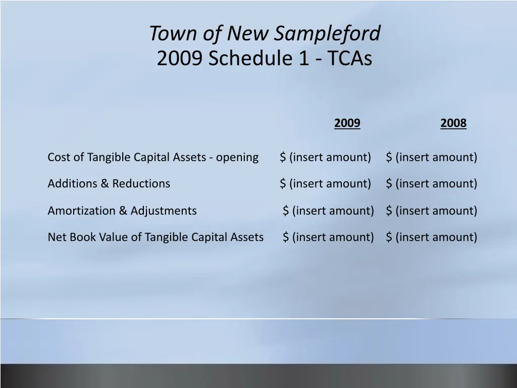 town of new sampleford 2009 schedule 1 tcas