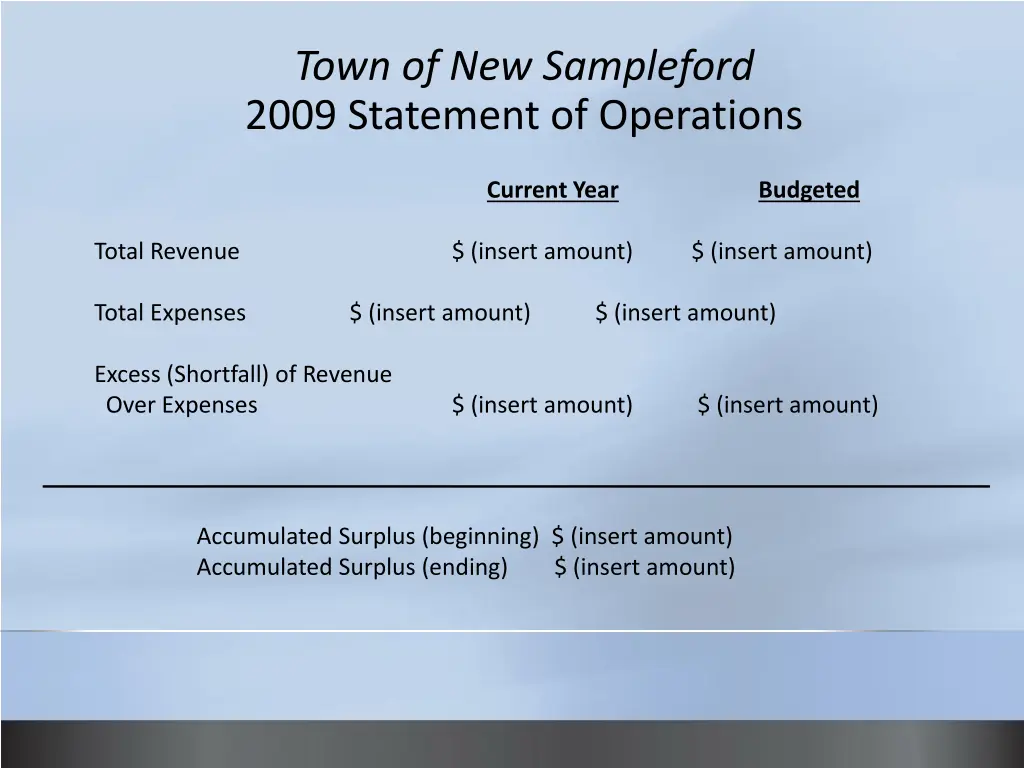 town of new sampleford 2009 statement 1