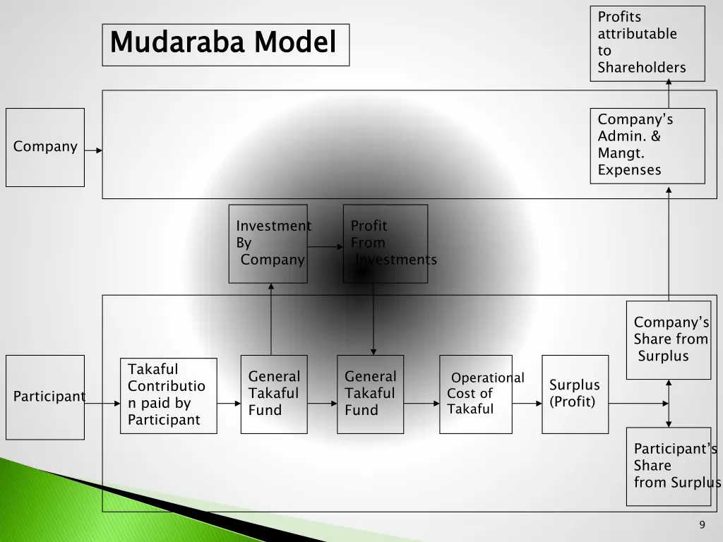 profits attributable to shareholders