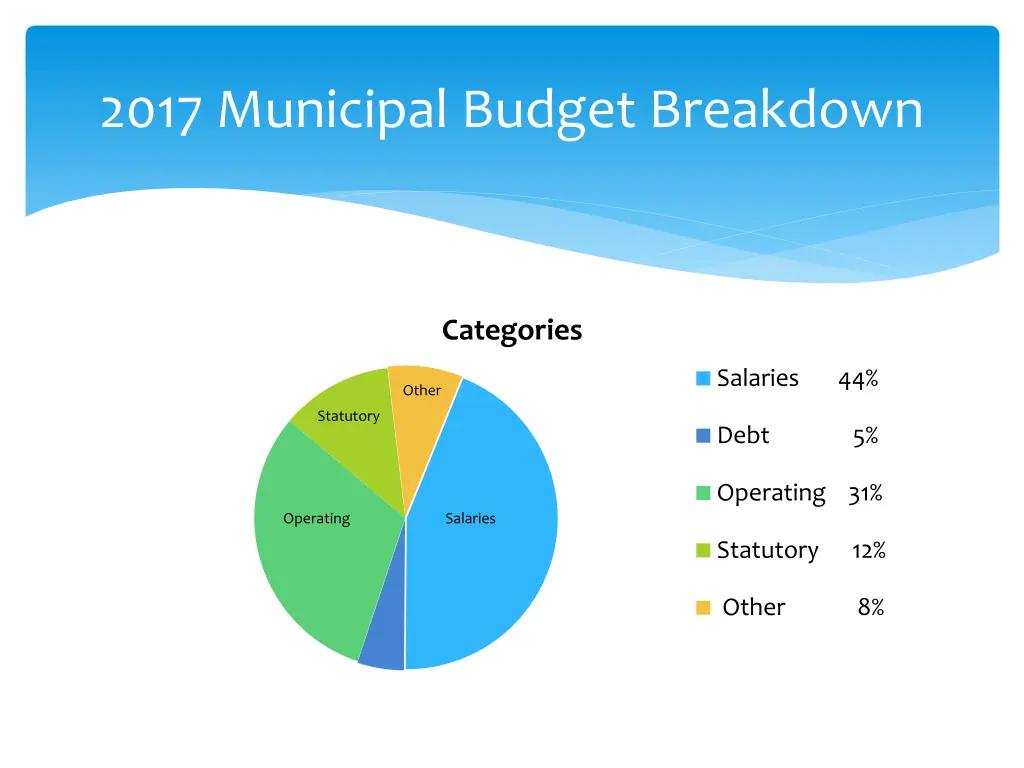 2017 municipal budget breakdown