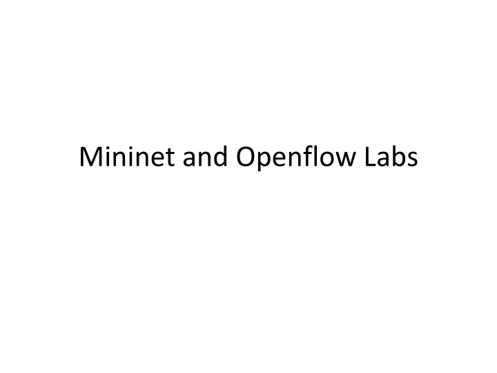 mininet and openflow labs