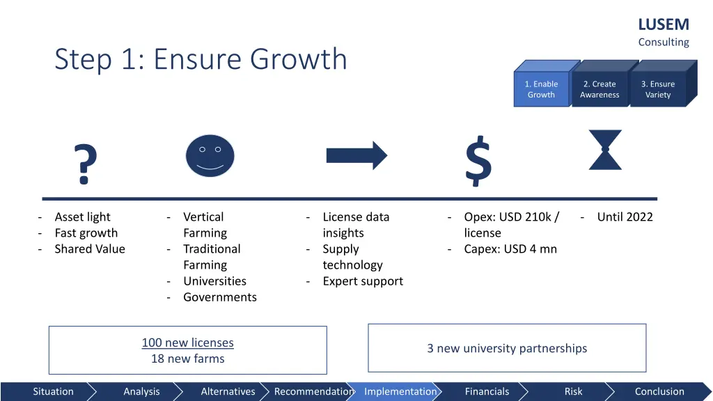 lusem consulting 19