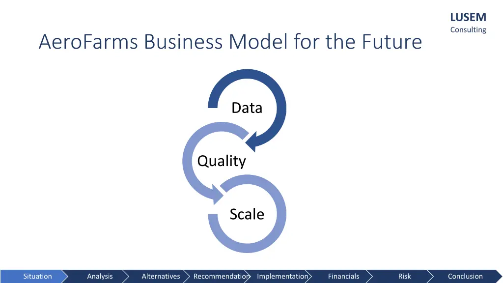 lusem consulting 4