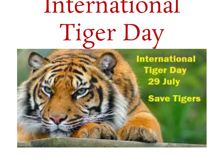 international tiger day