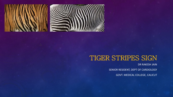 tiger stripes sign tiger stripes sign