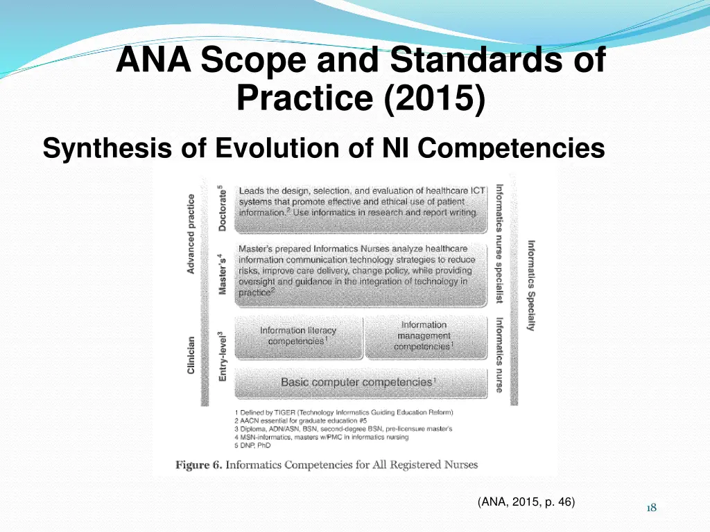 ana scope and standards of practice 2015