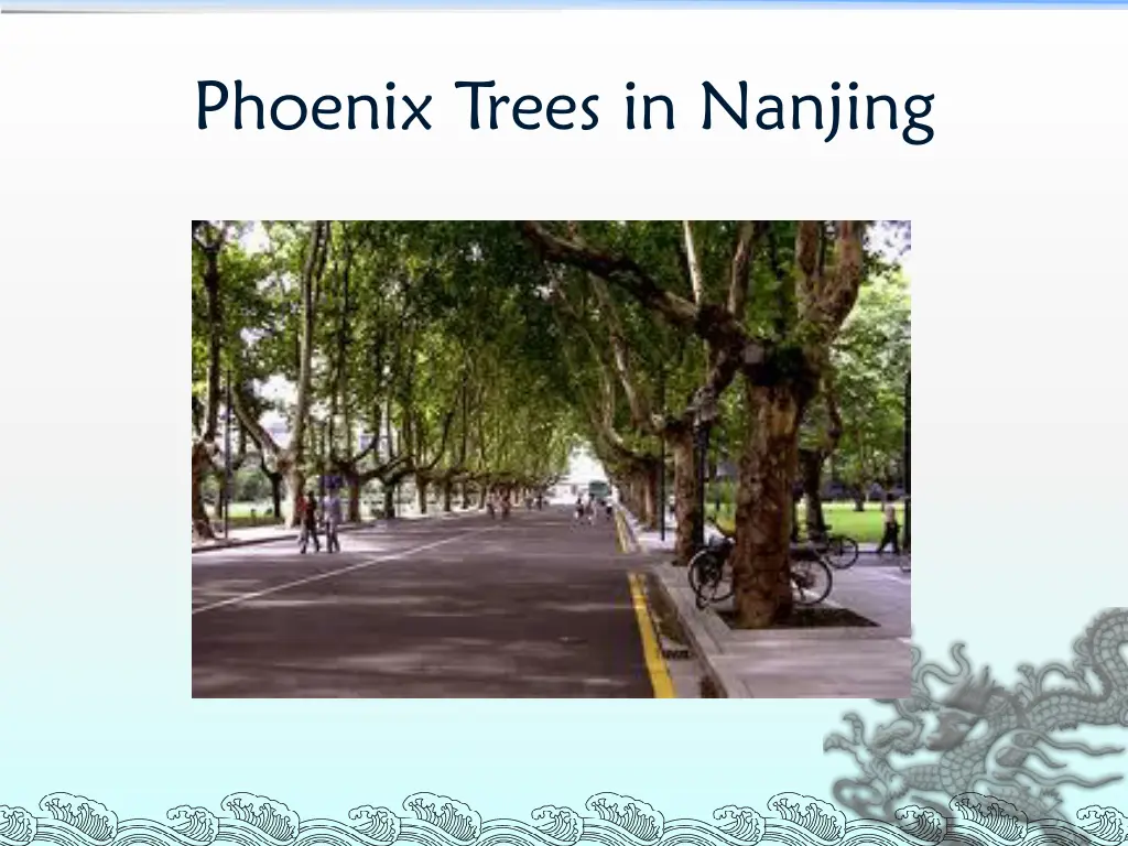 phoenix trees in nanjing