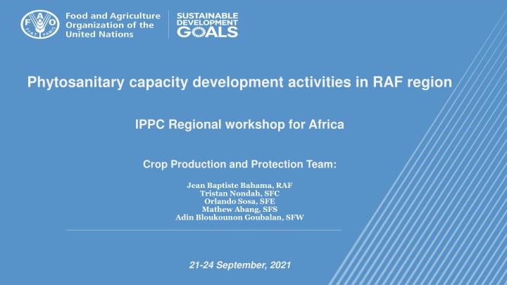 phytosanitary capacity development activities