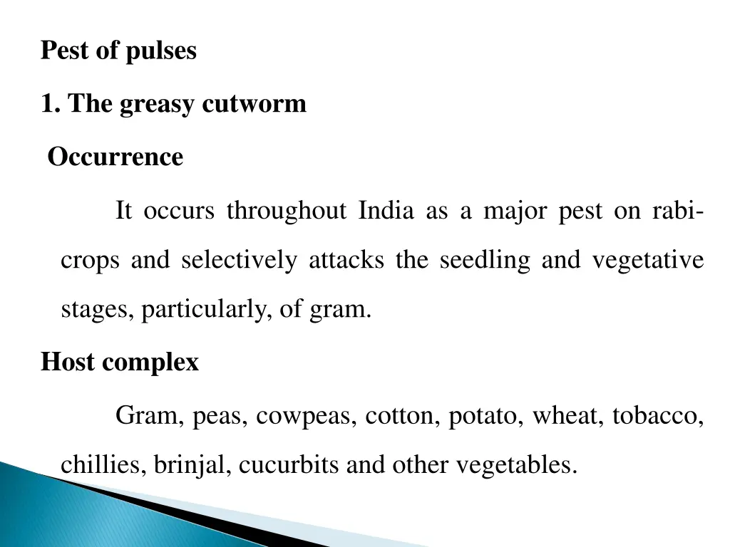 pest of pulses