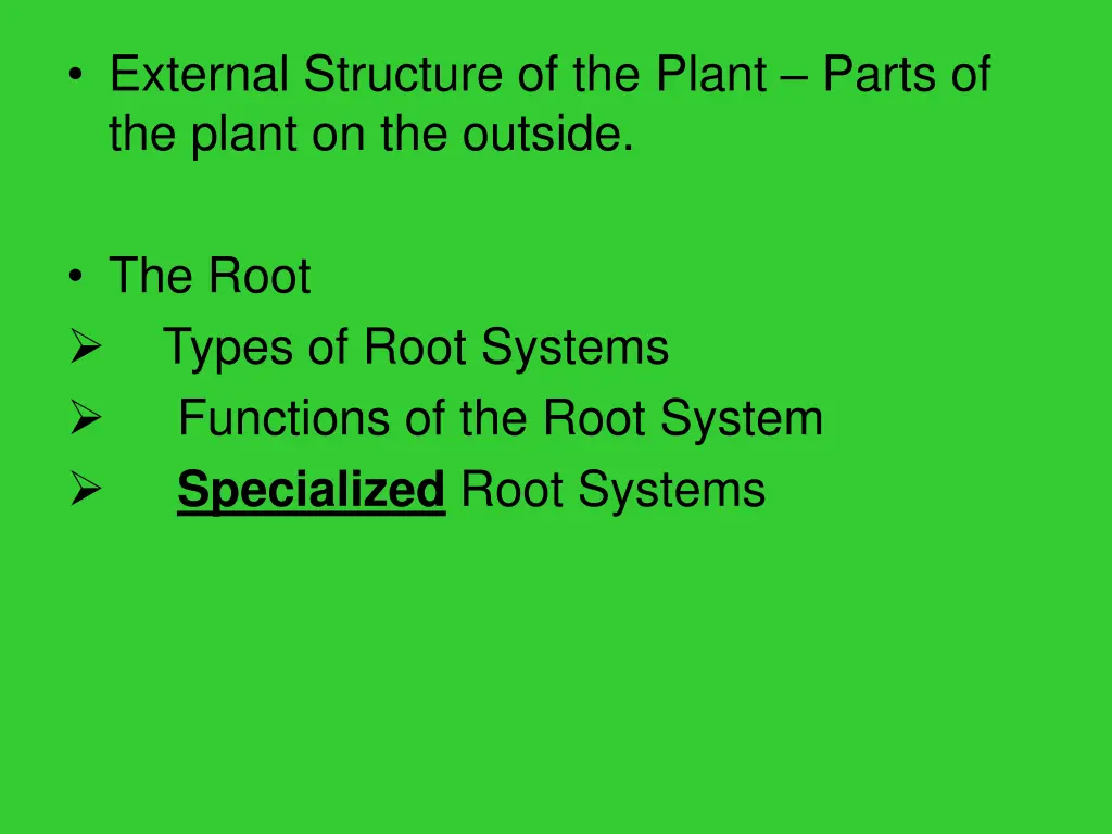 external structure of the plant parts