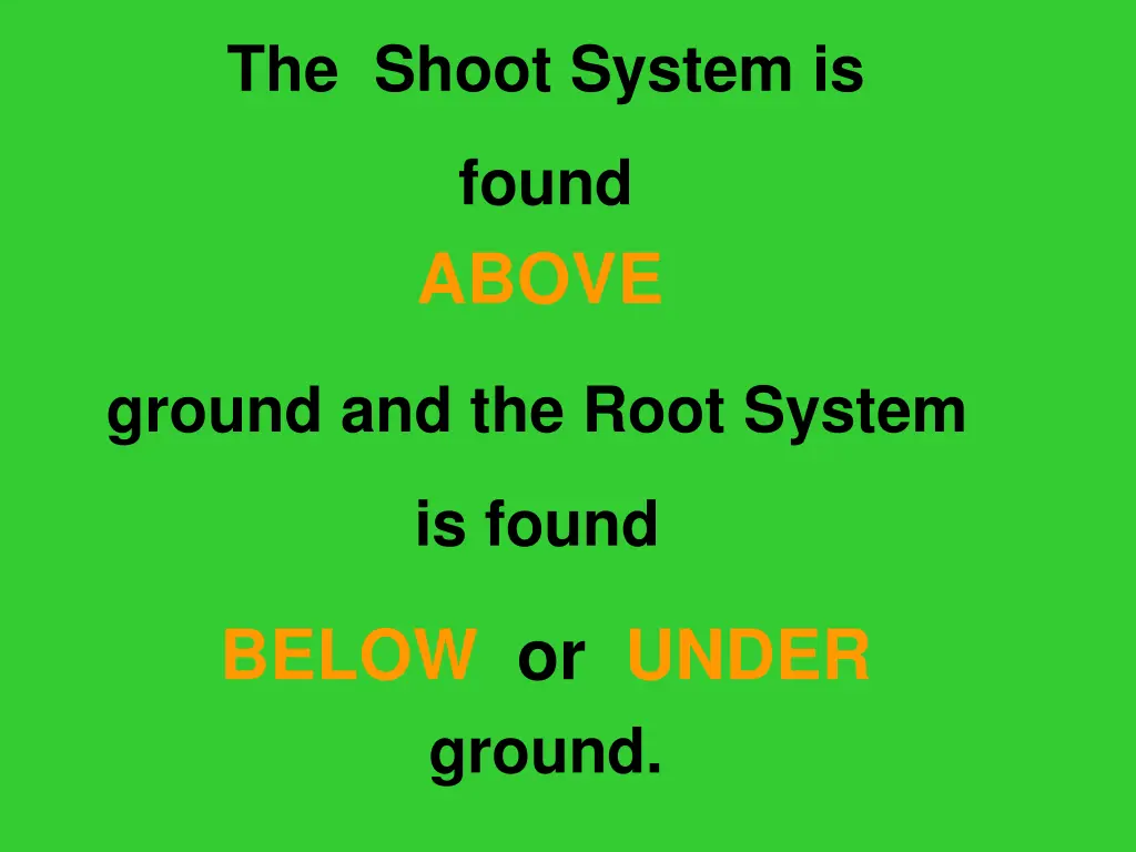 the shoot system is