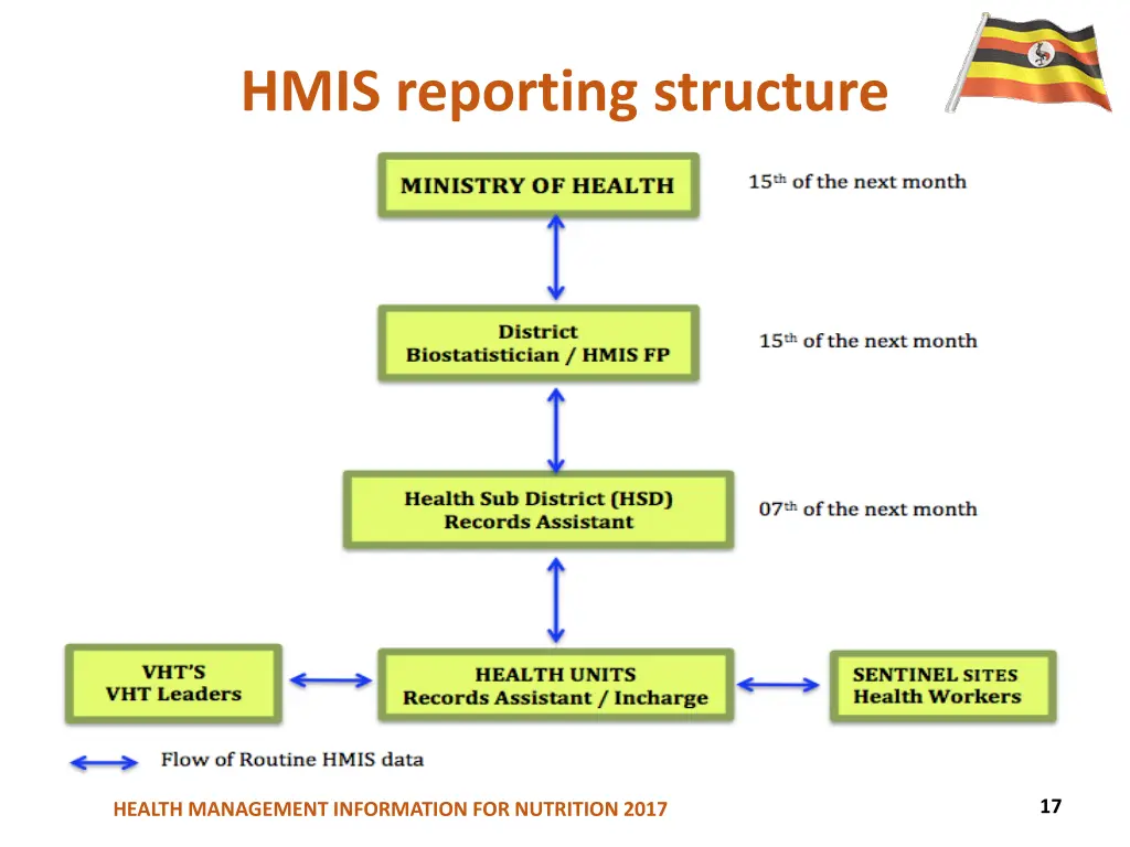 hmis reporting structure