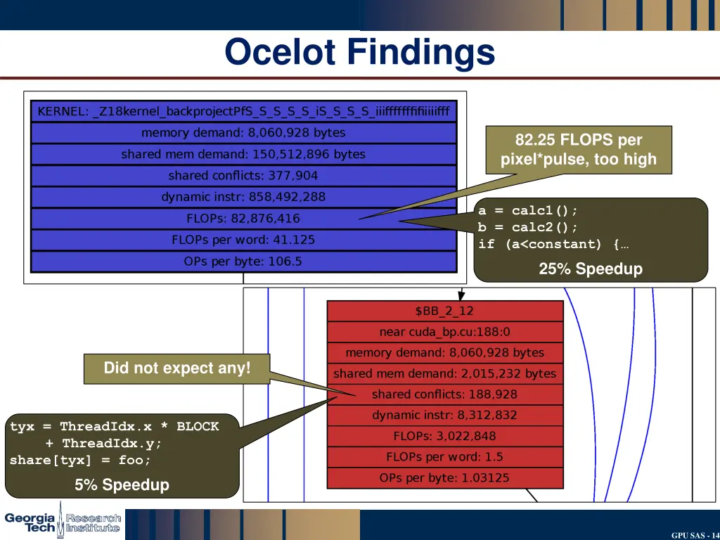 ocelot findings