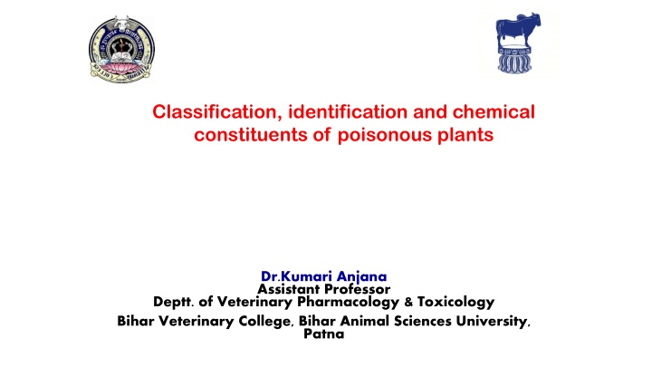 classification identification and chemical