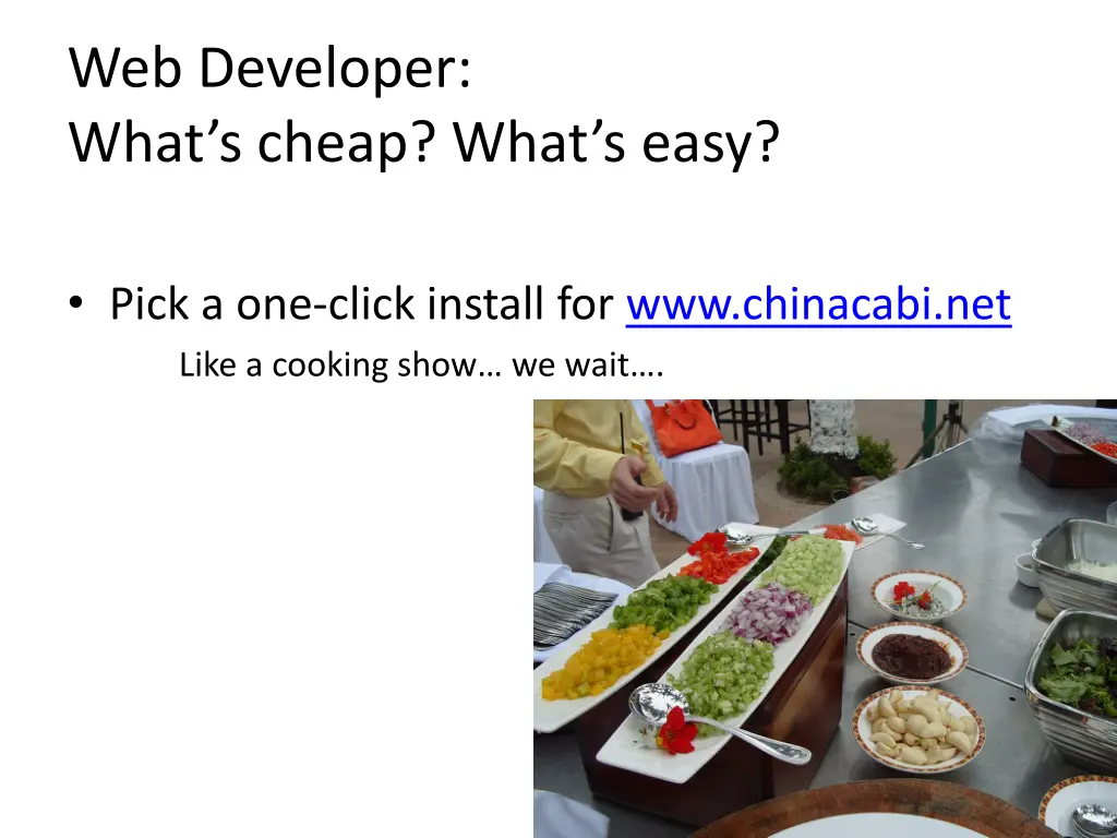 web developer what s cheap what s easy