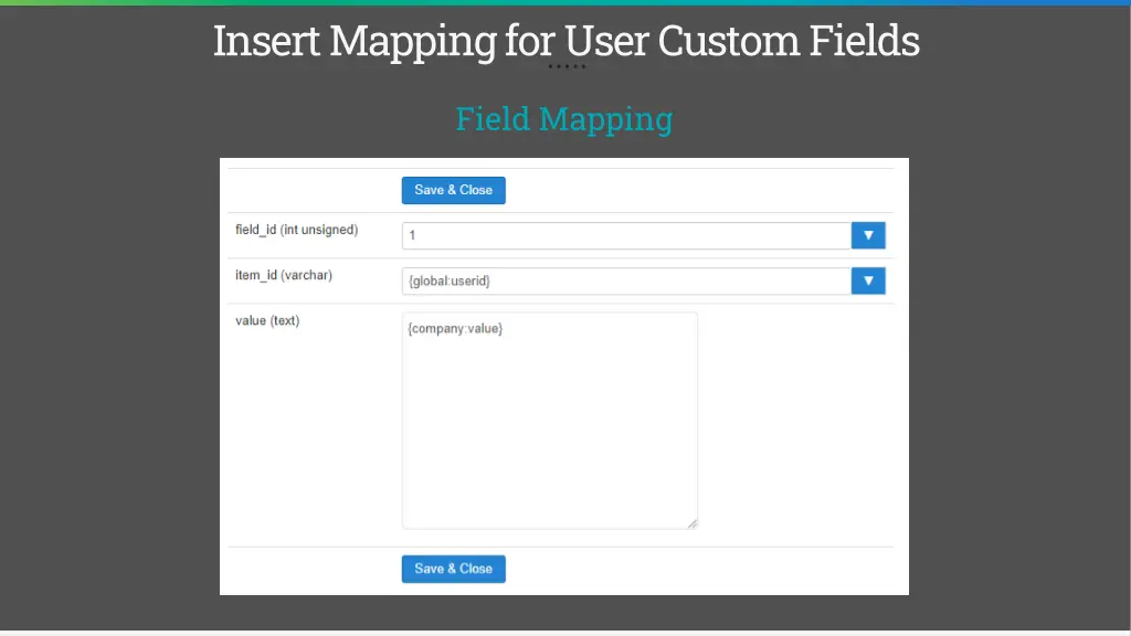 insert mapping for user custom fields