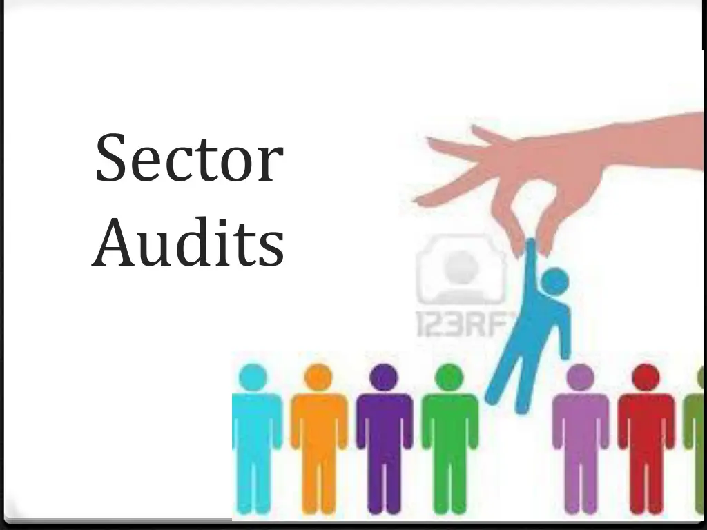 sector audits