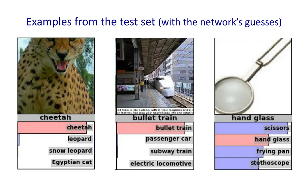 examples from the test set with the network