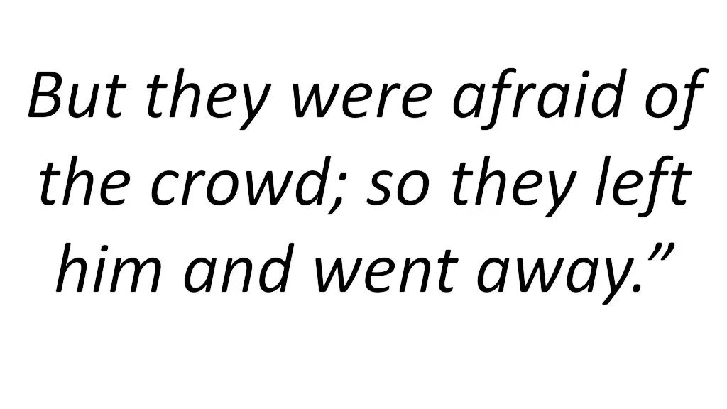 but they were afraid of the crowd so they left