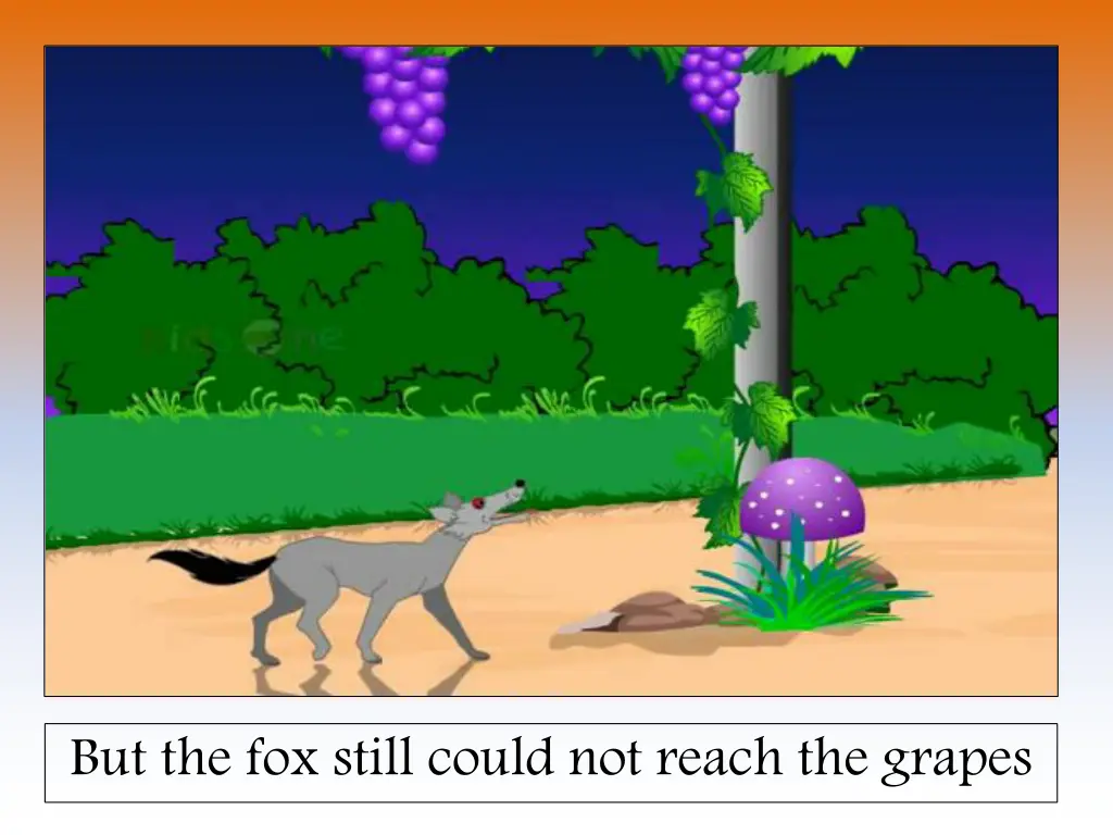 but the fox still could not reach the grapes