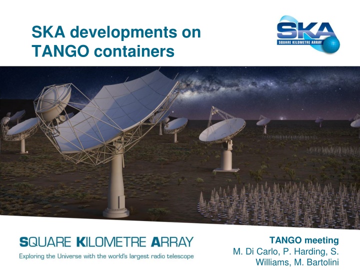 ska developments on tango containers