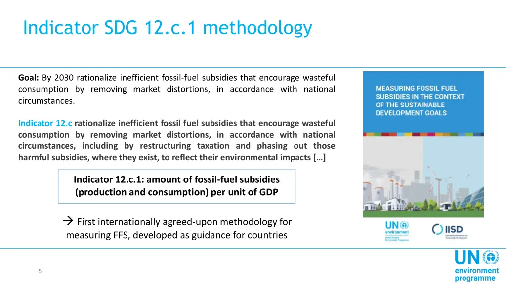 indicator sdg 12 c 1 methodology