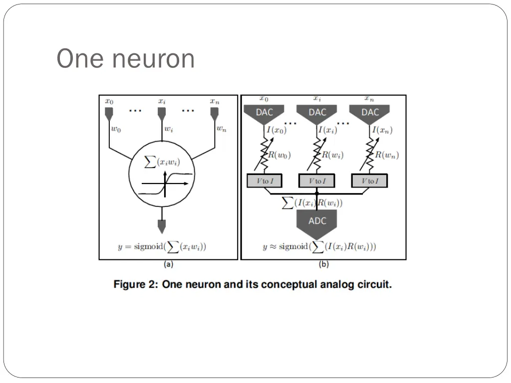 one neuron