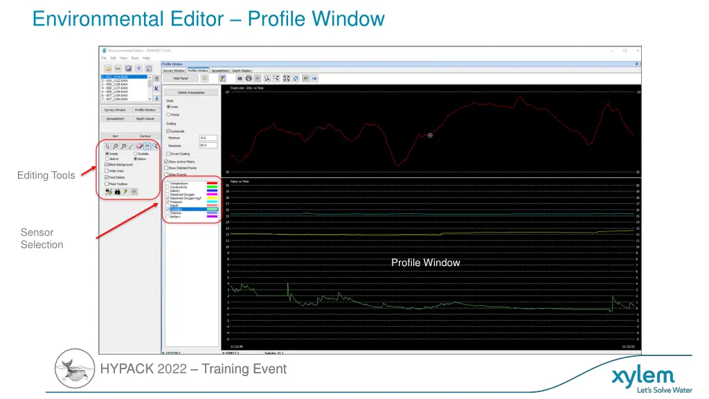 environmental editor profile window