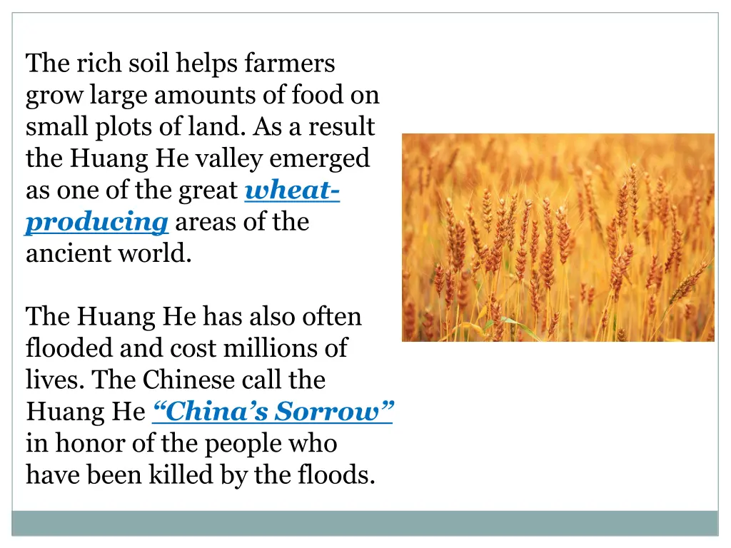 the rich soil helps farmers grow large amounts