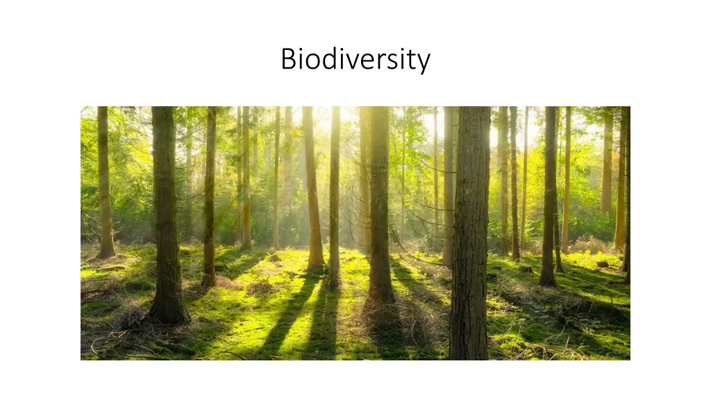 biodiversity