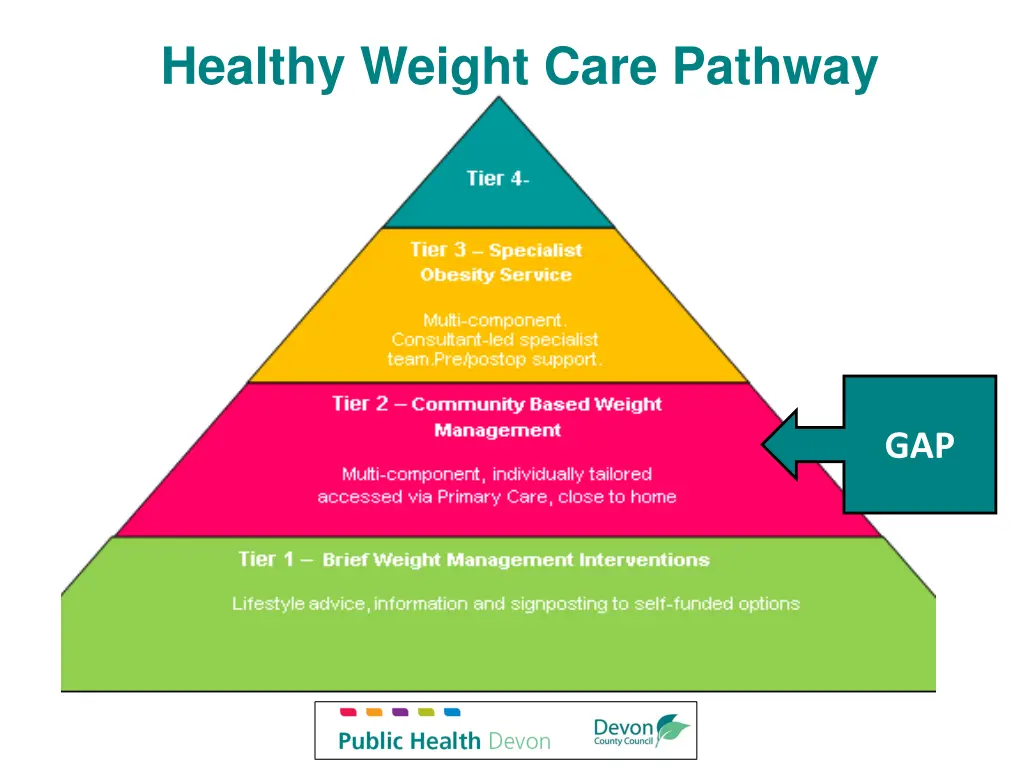 healthy weight care pathway