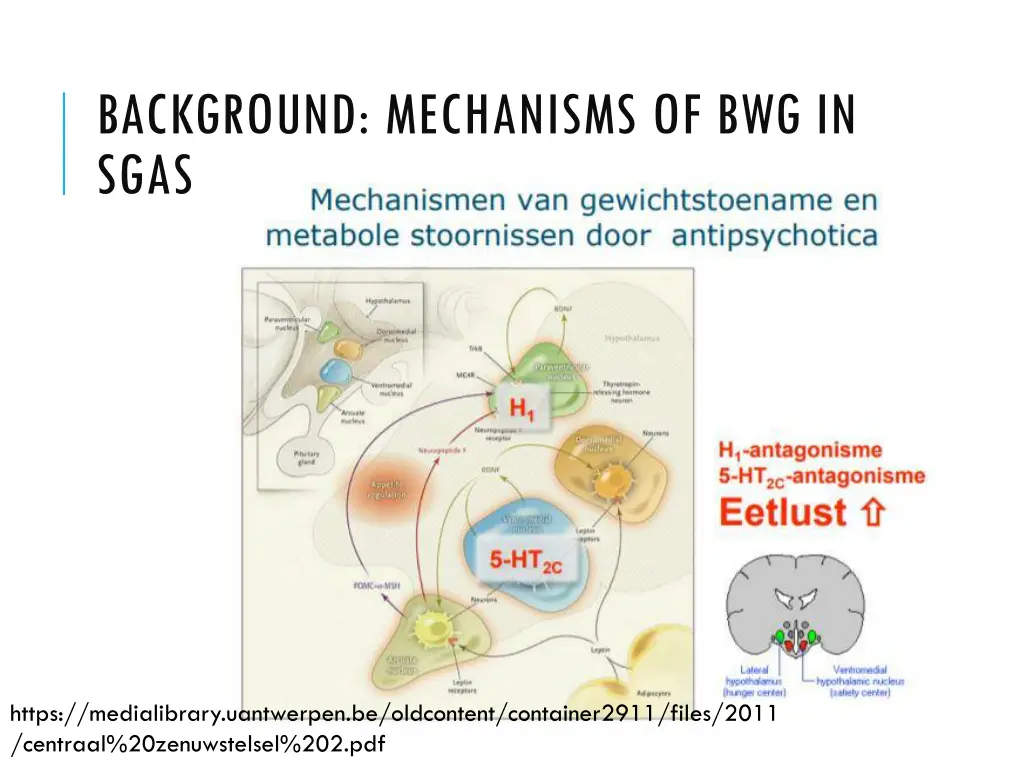 background mechanisms of bwg in sgas 1