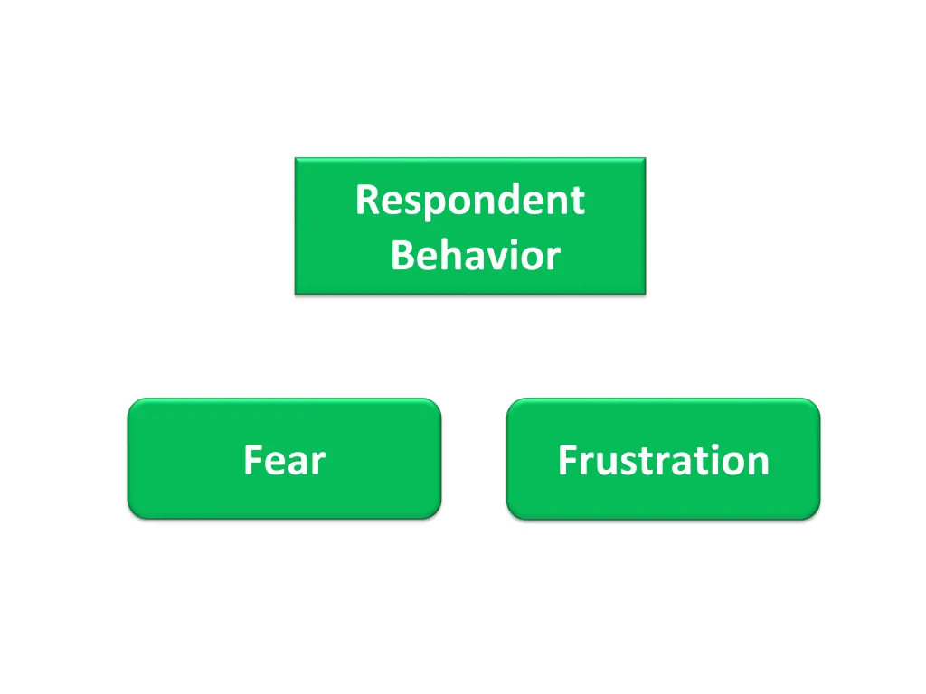 respondent behavior