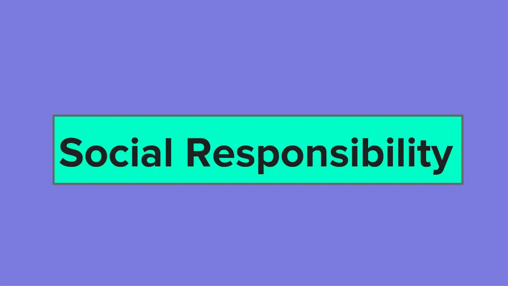 social responsibility