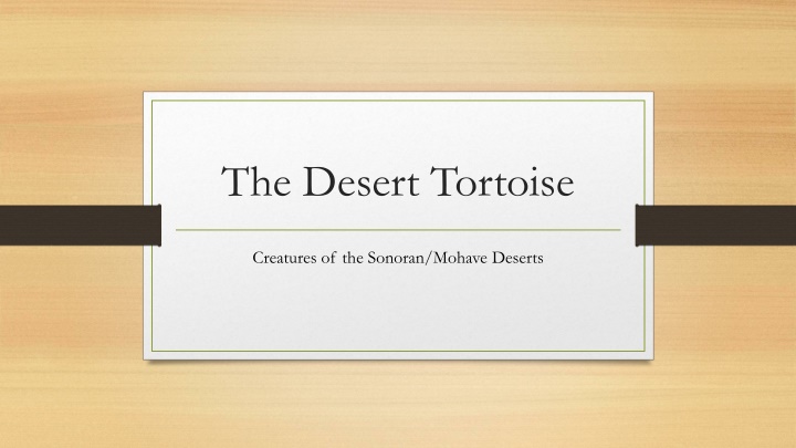 the desert tortoise