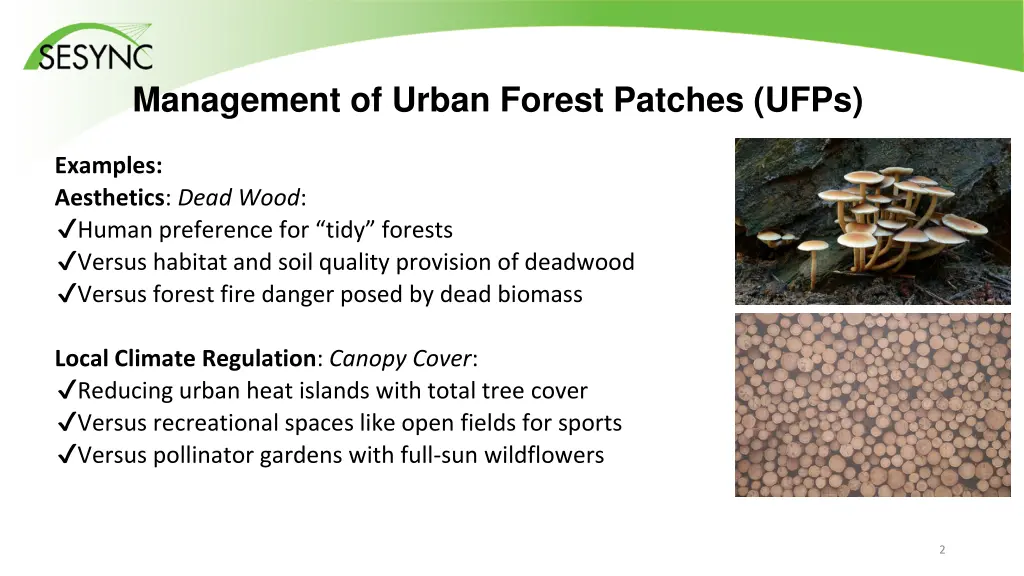 management of urban forest patches ufps 1