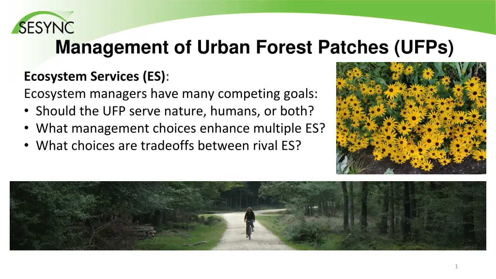 management of urban forest patches ufps