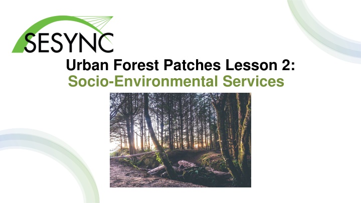 urban forest patches lesson 2 socio environmental