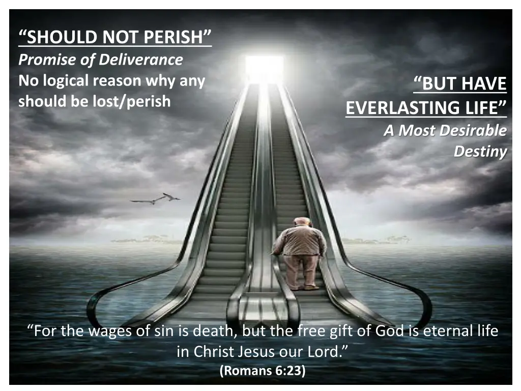 should not perish promise of deliverance