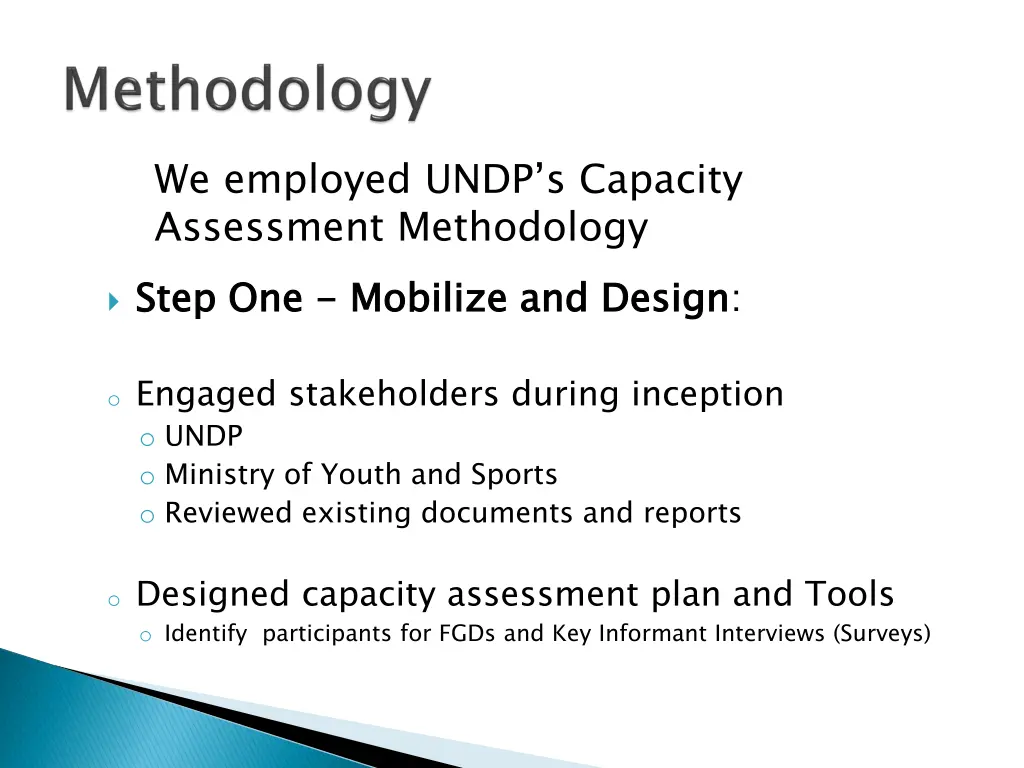 we employed undp s capacity assessment methodology