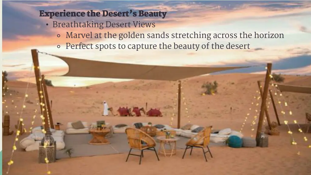 experience the desert s beauty breathtaking