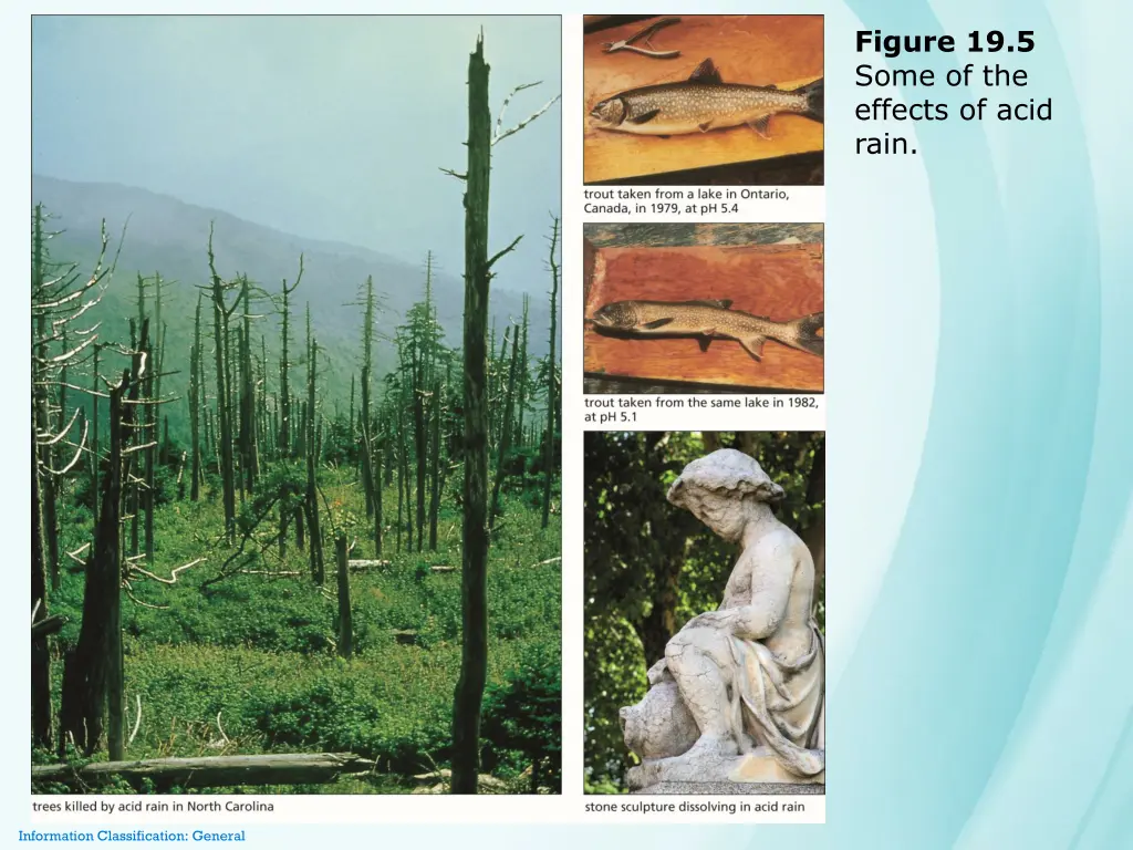 figure 19 5 some of the effects of acid rain