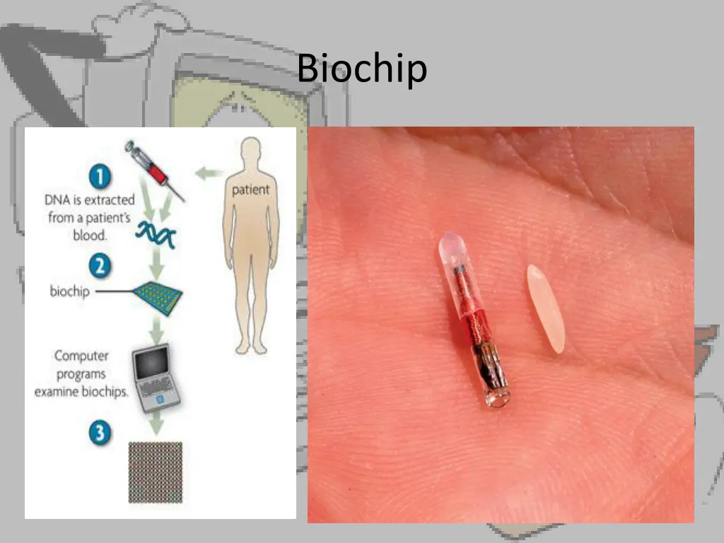 biochip